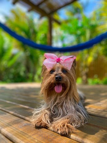 Imagen general del Hotel Tetiaroa. Foto 15