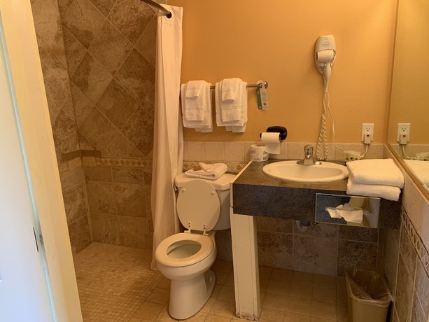 Imagen de la habitación del Hotel Teton Valley Motel. Foto 15