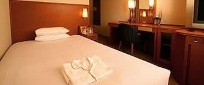 Imagen de la habitación del Hotel Tetora Otsu Kyoto. Foto 5