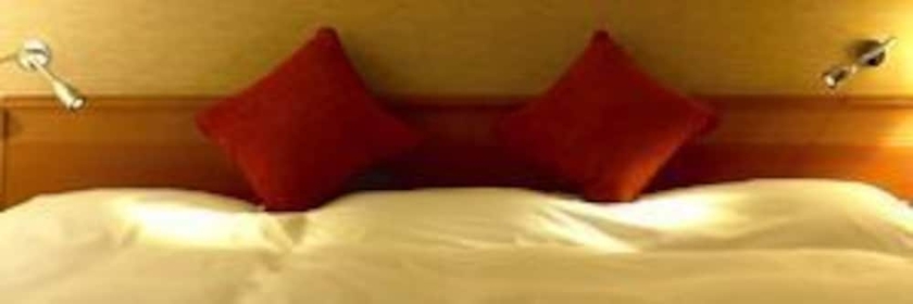 Imagen de la habitación del Hotel Tetora Otsu Kyoto. Foto 8