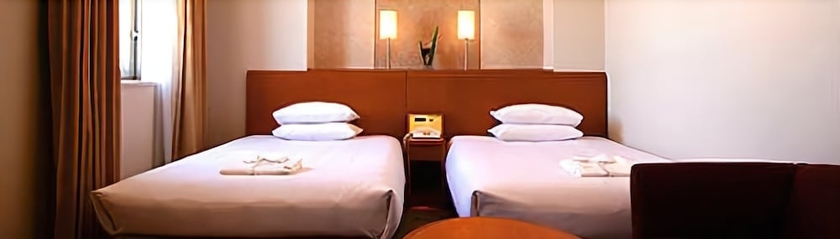 Imagen de la habitación del Hotel Tetora Otsu Kyoto. Foto 9