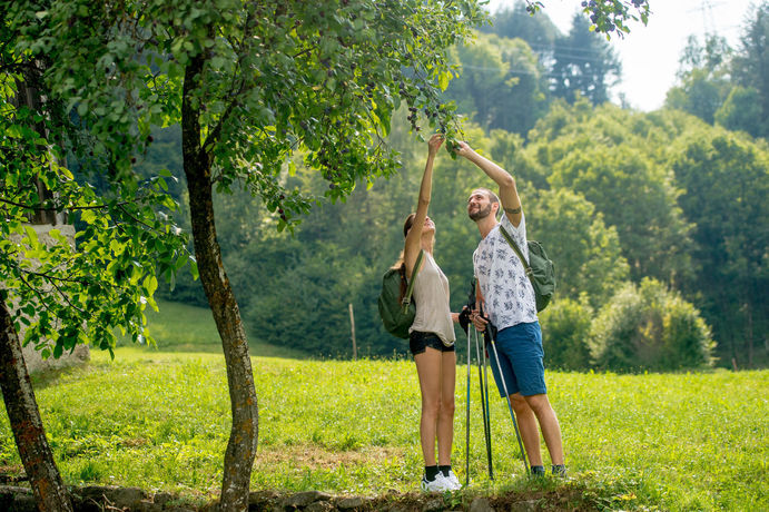 Imagen de la habitación del Hotel Tevini Dolomites Charming. Foto 8