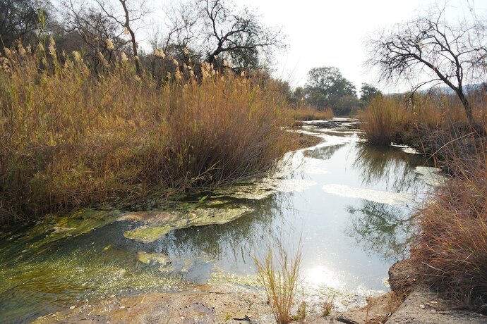 Imagen general del Hotel Thandabantu Game Lodge. Foto 5