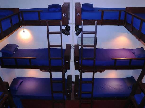 Imagen de la habitación del Hotel That Crazy Hostel. Foto 3