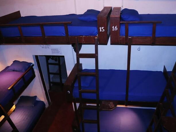 Imagen de la habitación del Hotel That Crazy Hostel. Foto 4