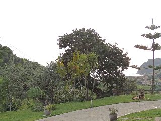 Imagen general del Hotel That's Amore Cilento Country House. Foto 6