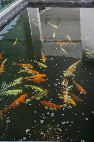 Imagen de los exteriores del Hotel Thawan Apartment. Foto 16