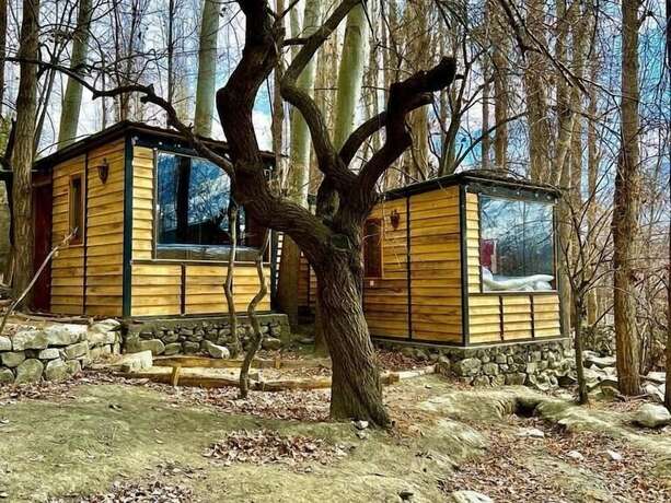 Imagen general del Hotel The 2 Magpies. Foto 6