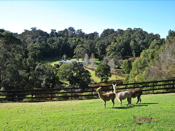 Imagen de los exteriores del Hotel The Acreage Boutique Guesthouse. Foto 14