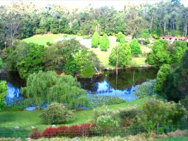Imagen general del Hotel The Acreage Boutique Guesthouse. Foto 2