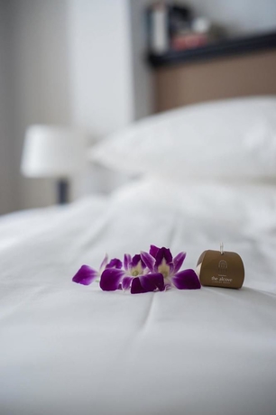 Imagen de los interiores del Hotel The Alcove Library. Foto 11