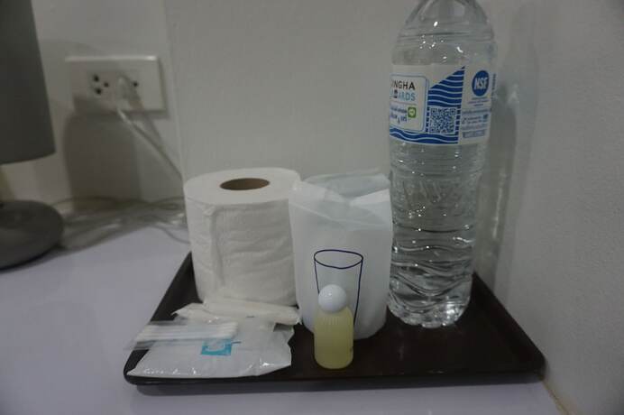 Imagen general del Hotel The Amber Mansion. Foto 2