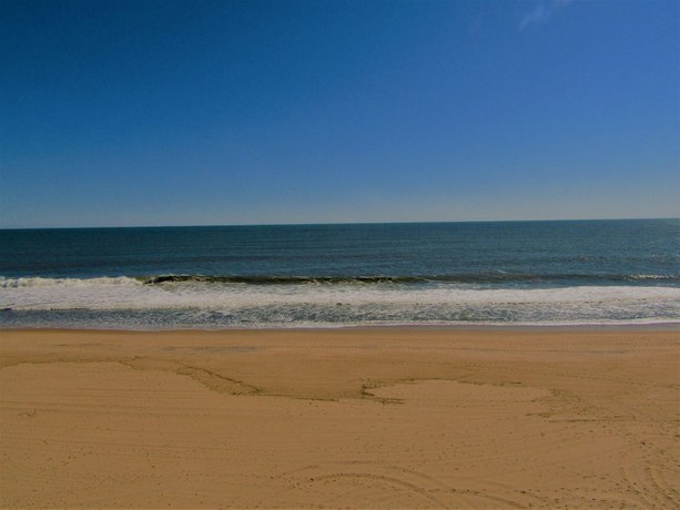 Imagen de la habitación del Hotel The Americana. Foto 7