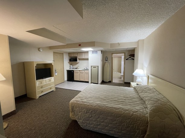 Imagen de la habitación del Hotel The Americana. Foto 11