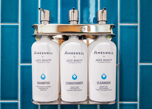 Imagen de la habitación del Hotel The Ameswell. Foto 7