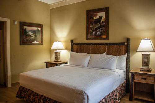 Imagen de la habitación del Hotel The Appy Lodge. Foto 3