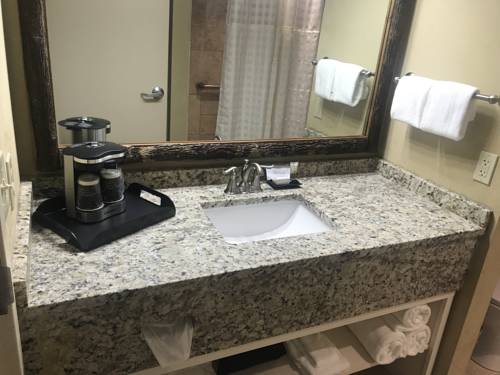 Imagen de la habitación del Hotel The Appy Lodge. Foto 5