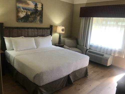 Imagen de la habitación del Hotel The Appy Lodge. Foto 6
