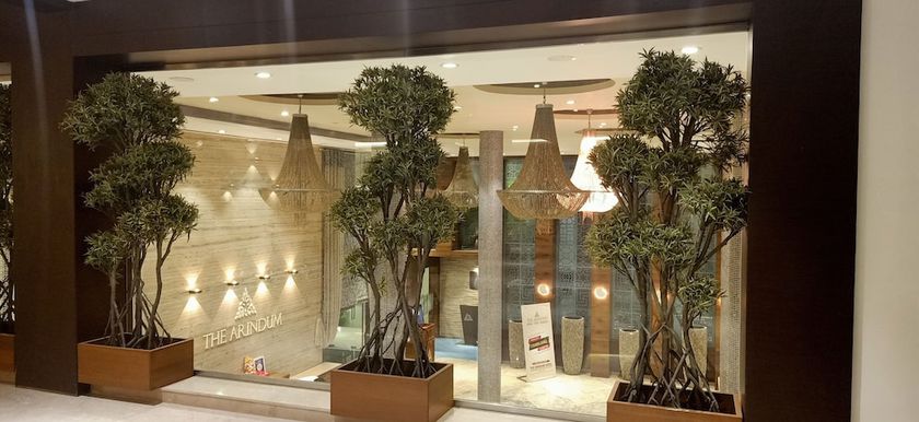 Imagen de los interiores del Hotel The Arindum. Foto 19