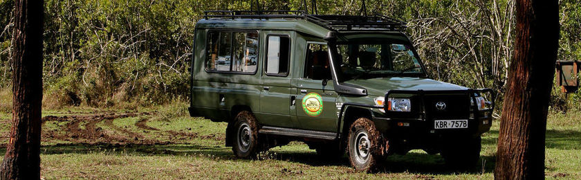 Imagen del bar/restaurante del Hotel The Ark. Foto 5