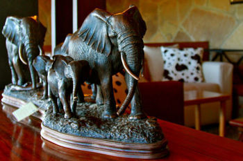 Imagen de los exteriores del Hotel The Ark. Foto 12