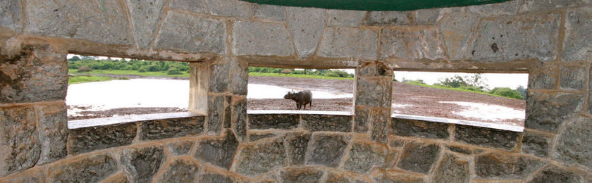 Imagen de los interiores del Hotel The Ark. Foto 13