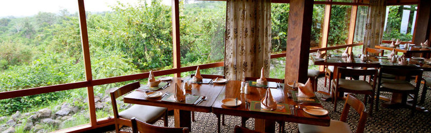 Imagen del bar/restaurante del Hotel The Ark. Foto 7