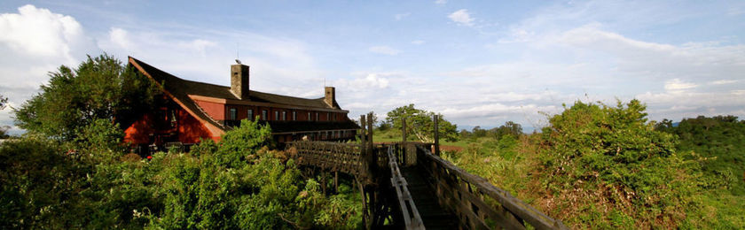 Imagen general del Hotel The Ark. Foto 3