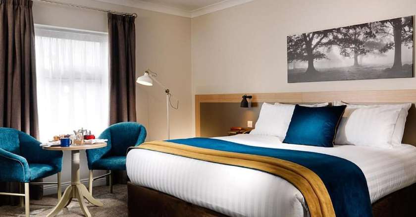 Imagen de la habitación del Hotel The Ashe. Foto 16