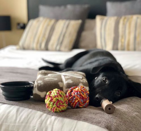 Imagen general del Hotel The Ashleigh - Dog Friendly. Foto 2