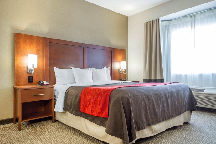 Imagen de la habitación del Hotel The Atrium, San Bruno. Foto 4
