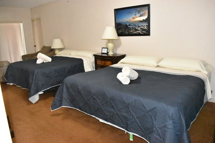 Imagen de la habitación del Hotel The Avalon Resort. Foto 15
