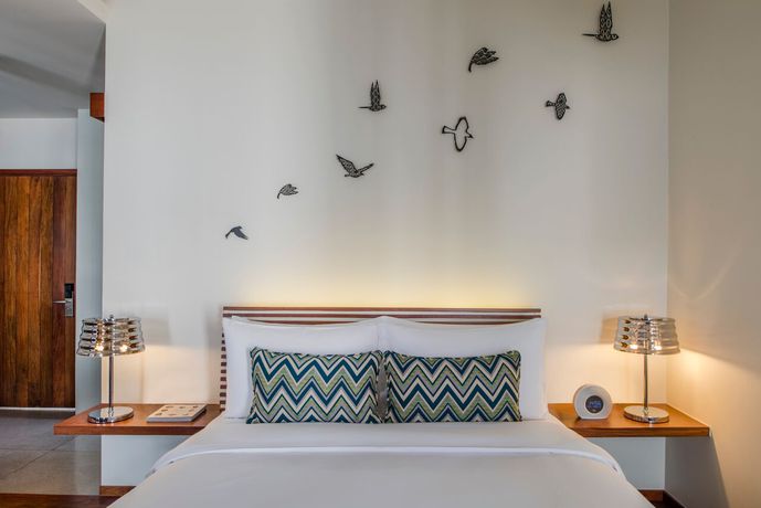 Imagen de la habitación del Hotel The Aviary. Foto 14