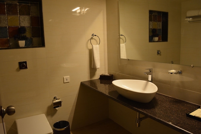 Imagen de la habitación del Hotel The Avr Hotels and Banquets. Foto 11