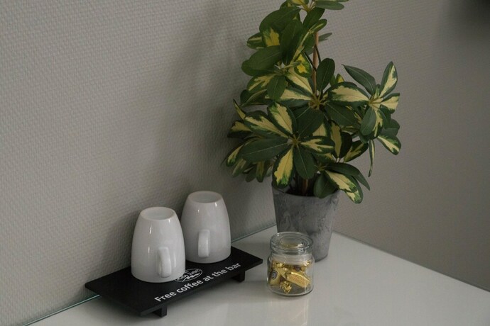 Imagen de la habitación del Hotel The BLOOM, NOORDWIJK. Foto 3