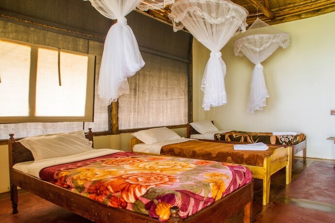 Imagen de la habitación del Hotel The Baboon Safari Resort. Foto 14