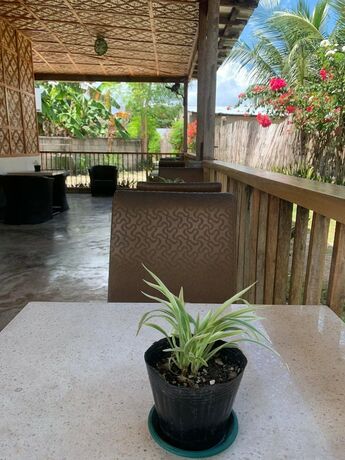 Imagen general del Hotel The Backyard Inn. Foto 2