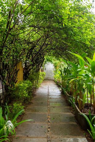 Imagen general del Hotel The Banyan Soul. Foto 6