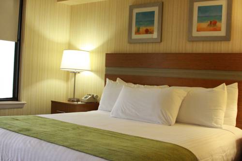 Imagen de la habitación del Hotel The Barclay Towers Resort. Foto 6