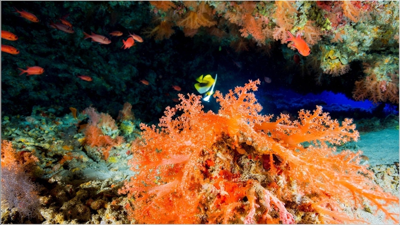 Imagen de los exteriores del Hotel The Barefoot Eco. Foto 10