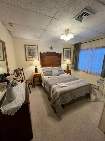 Imagen general del Hotel The Bavarian Manor. Foto 3