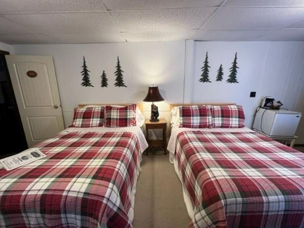 Imagen general del Hotel The Bavarian Manor. Foto 4