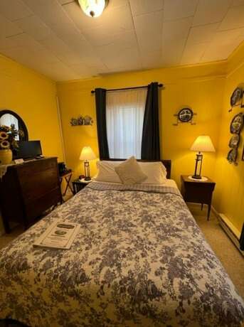 Imagen general del Hotel The Bavarian Manor. Foto 7