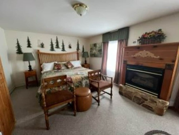 Imagen de la habitación del Hotel The Bavarian Manor. Foto 19