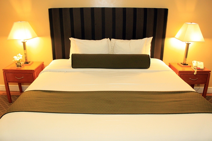 Imagen de la habitación del Hotel The Bayard. Foto 7