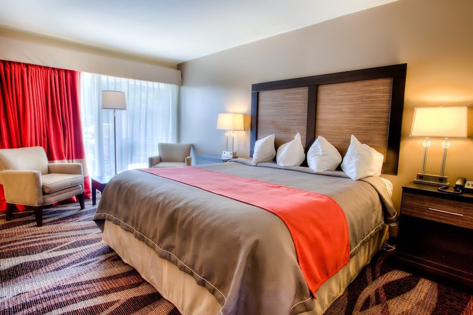 Imagen general del Hotel The Beaucatcher – A Boutique Motel. Foto 1