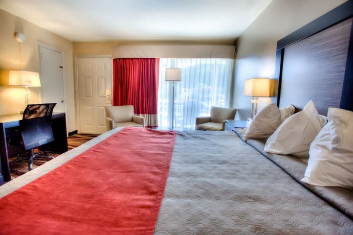 Imagen de la habitación del Hotel The Beaucatcher &ndash; A Boutique Motel. Foto 9
