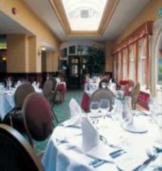 Imagen general del Hotel The Birch. Foto 4