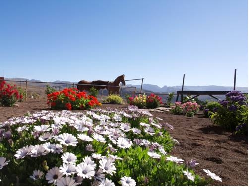 Imagen general del Hotel The Black Horse Canarias. Foto 6