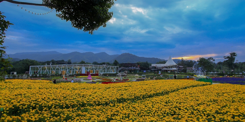 Imagen general del Hotel The Bloom By Tv Pool. Foto 2